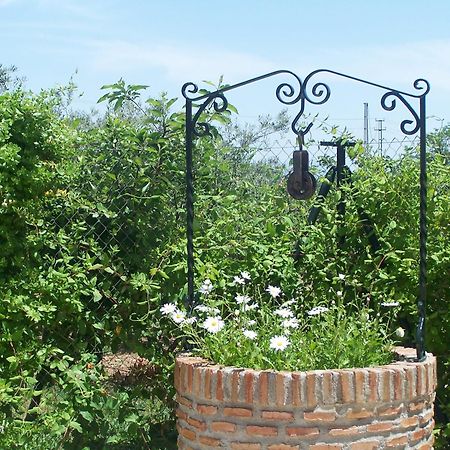 Casa Rural El Rincon Carcabuey Ngoại thất bức ảnh