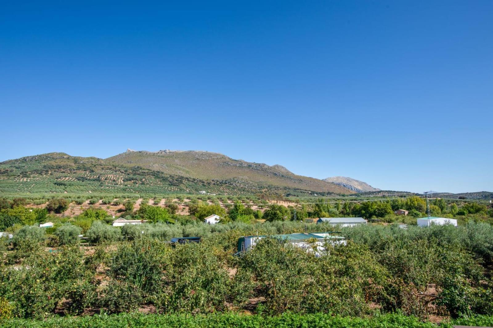 Casa Rural El Rincon Carcabuey Ngoại thất bức ảnh